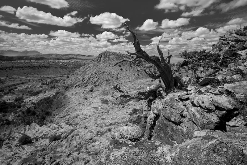 Chihuahuan Desert CDRI Landscape Black and White