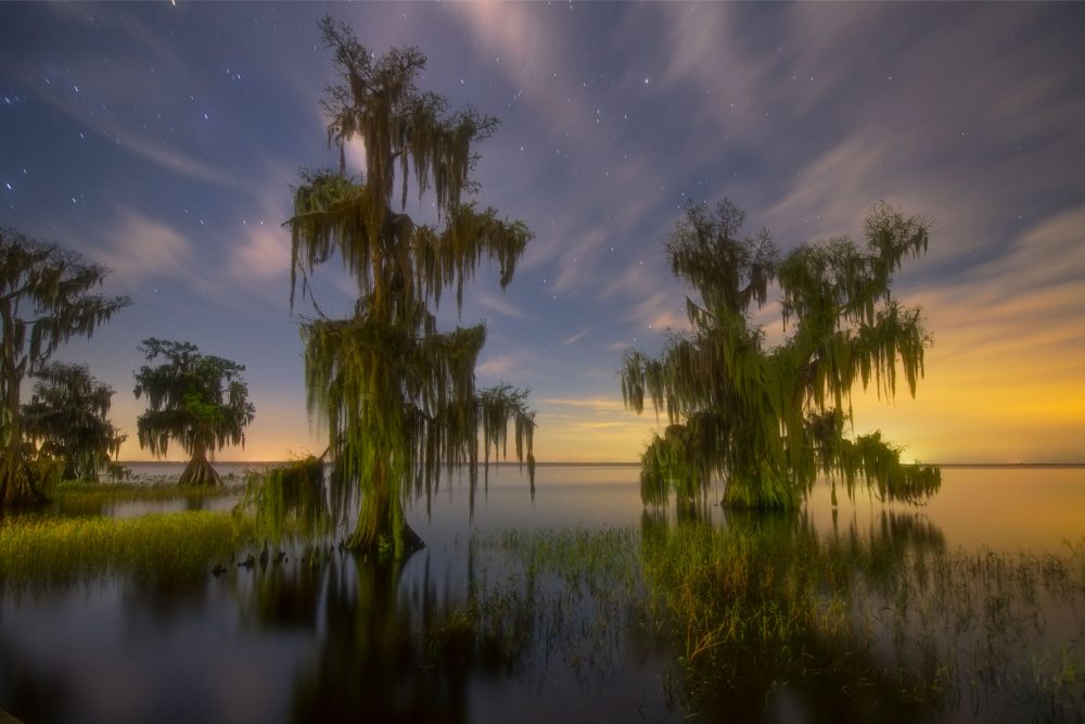 Cypress tress grow out of Lake Istokpoga in Florida at night with the sun glowing of the horizon, with silky smooth calm water.